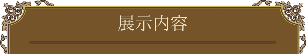 展示内容