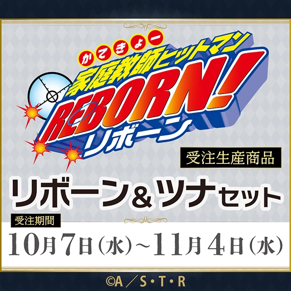 家庭教師ヒットマンREBORN！／リボーン＆ツナセット