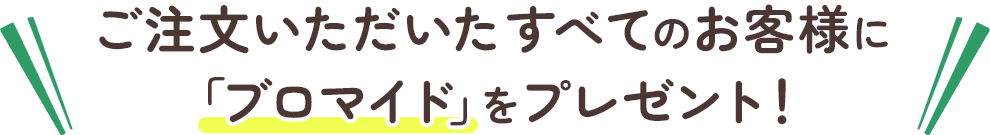 ご注文いただいたすべてのお客様に「ブロマイド」をプレゼント!