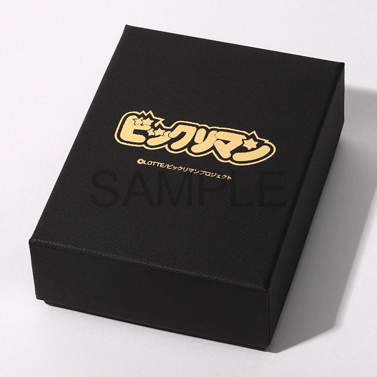 �r�b�N���}���̃��S�������������p�P�[�X