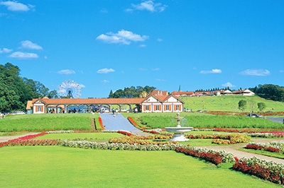 �����h�C�c��