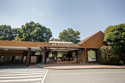 �ɓ��A�j�}���L���O�_��