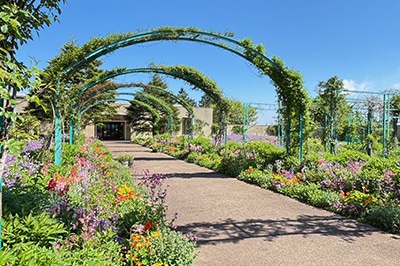 �K�[�f���~���[�W�A����b