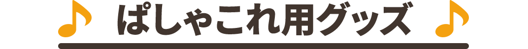 ぱしゃこれ用グッズ