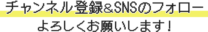 チャンネル登録＆SNSのフォローよろしくお願いします！