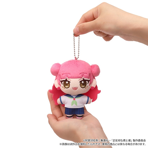 正反対な君と僕 ぬいパル（ぬいぐるみマスコット）／西: ぬいぐるみ