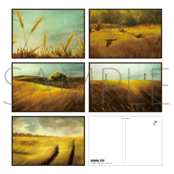 エンディングポストカードセット