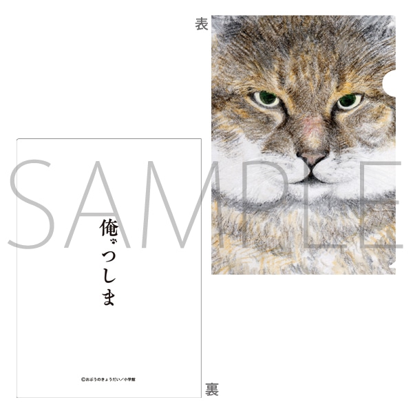 俺、つしま クリアファイル 顔アップ