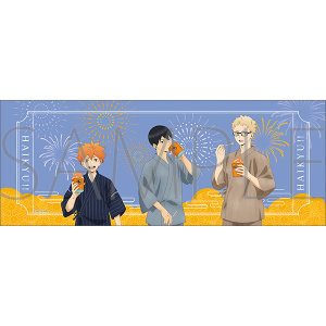 ハイキュー!!　てぬぐい／B 烏野高校