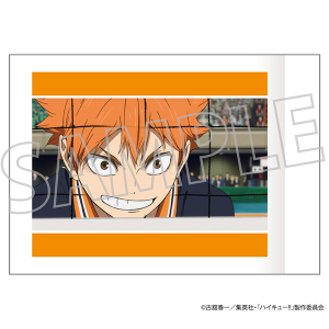 劇場版ハイキュー!! ゴミ捨て場の決戦　ぱしゃこれ