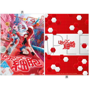 はたらく細胞　クリアファイル