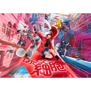 映画「はたらく細胞」　パンフレット