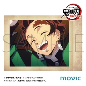 テレビアニメ　「鬼滅の刃」　無限列車編　ぱしゃこれ