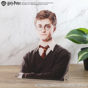ハリー・ポッター　特大ダイカットアクリルパネル（ハリー・ポッター）【受注生産商品】
