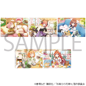 五等分の花嫁＊　アクリルシートコレクション（ネコカフェ）