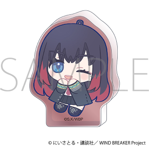 WIND BREAKER　ころっと／椿野佑　ぬいパル すきっぷ