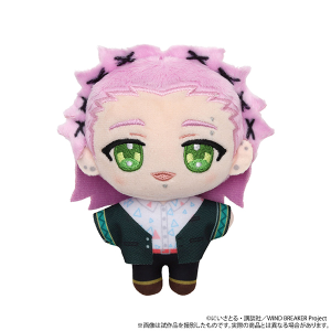 WIND BREAKER　ぬいパル（ぬいぐるみマスコット）／桐生三輝