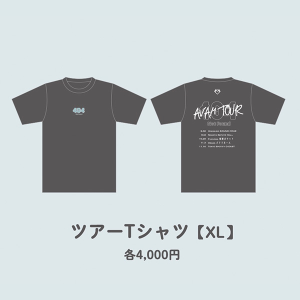 404 Not Found ツアーTシャツ【XL】
