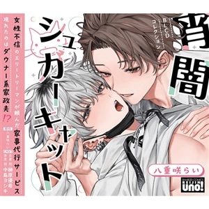 BLCDコレクション「宵闇シュガーキャット」