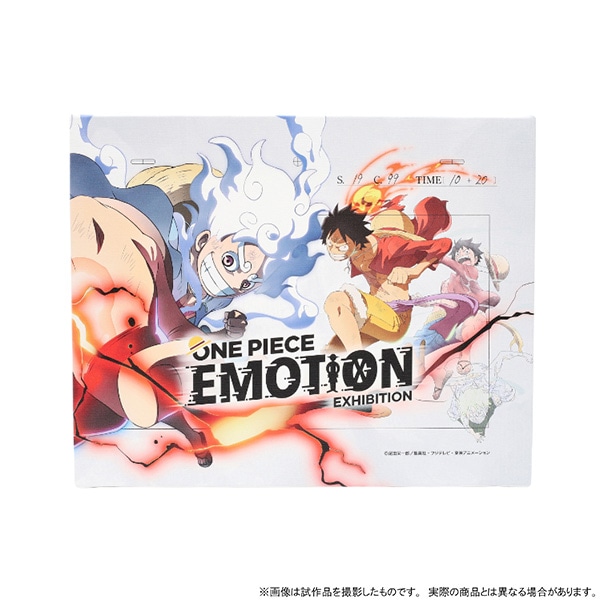 ONE PIECE　キャンバスボード／ONE PIECE EMOTION