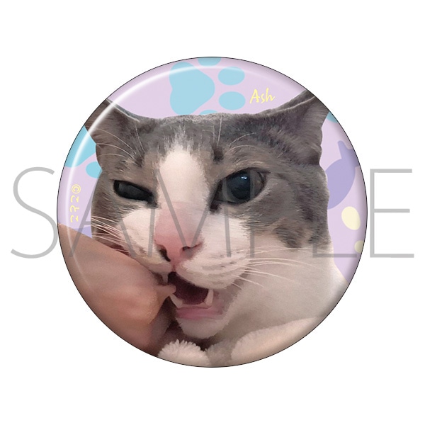 かわいいアッシュくんの缶バッジ