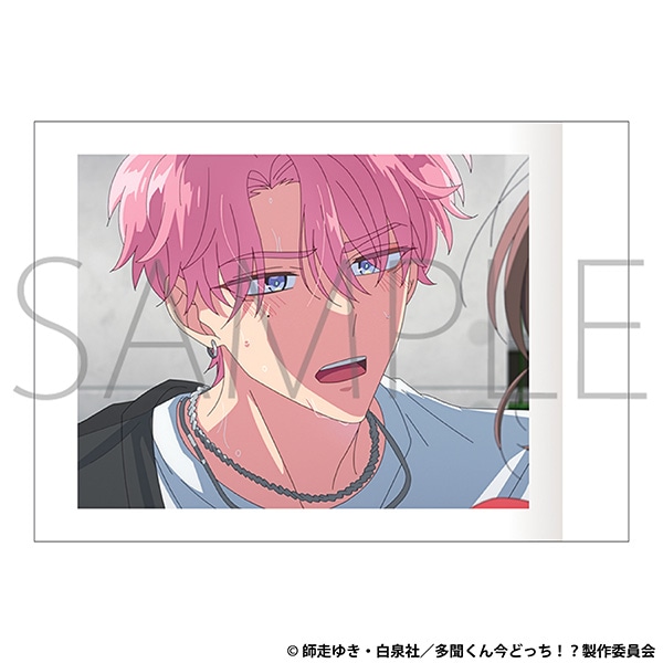 多聞くん今どっち!?　ぱしゃこれ