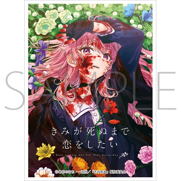 きゃらスリーブコレクション　マットシリーズ　「きみが死ぬまで恋をしたい」　カガリ・ミミ(No.MT2493)