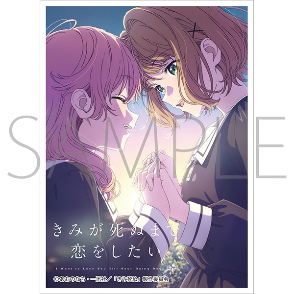 きゃらスリーブコレクション　マットシリーズ　「きみが死ぬまで恋をしたい」　ミミ&シーナA(No.MT2494)
