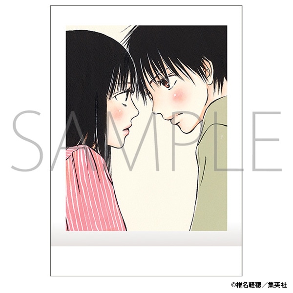 椎名軽穂　ぱしゃこれ