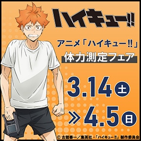 �A�j���u�n�C�L���[!!�v�̗͑���t�F�A