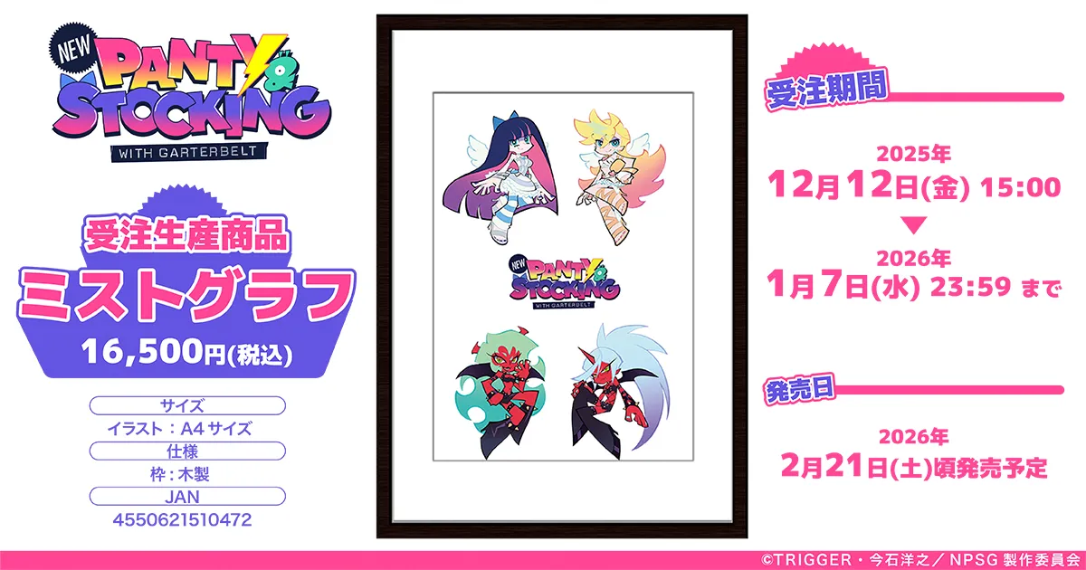 New PANTY  STOCKING with GARTERBELT@~XgOti󒍐Yj