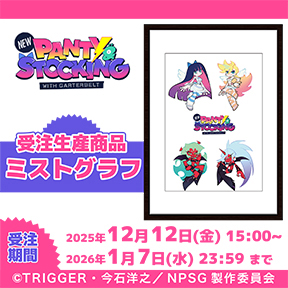 New PANTY  STOCKING with GARTERBELT@~XgOt