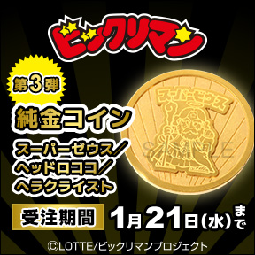 �r�b�N���}�� �󒍐��Y���i�@��3�e�F�����R�C��