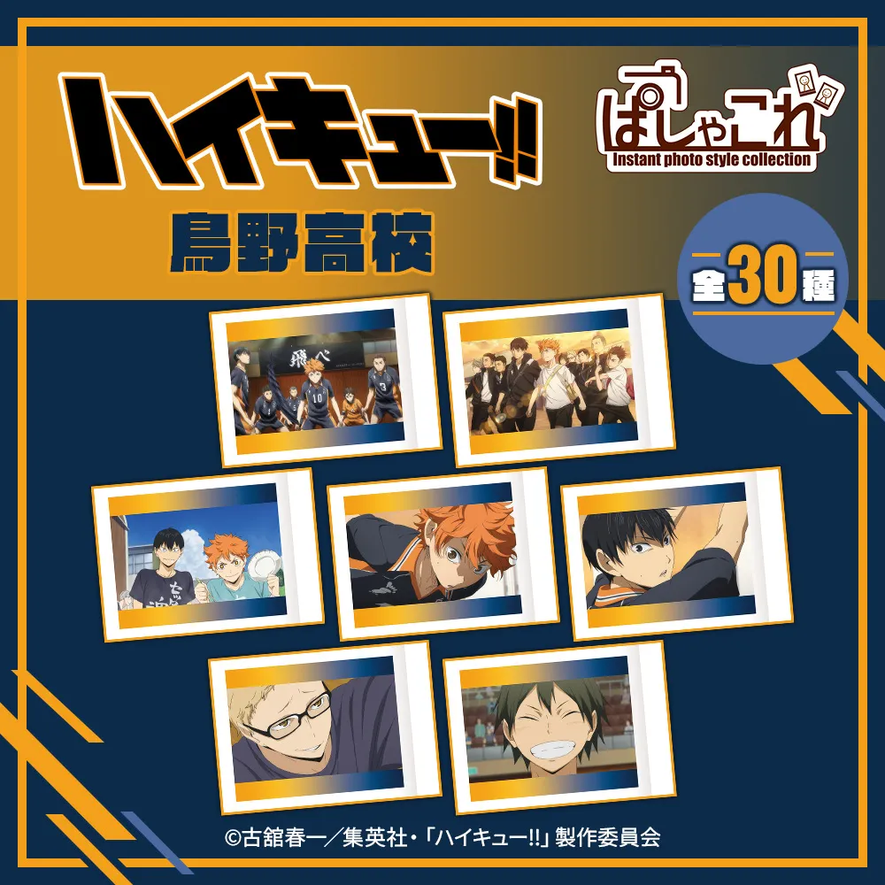 ハイキュー!! ぱしゃこれ/烏野高校